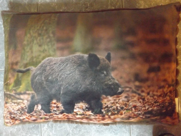 Kissen Wildschwein 40 x 60 xm