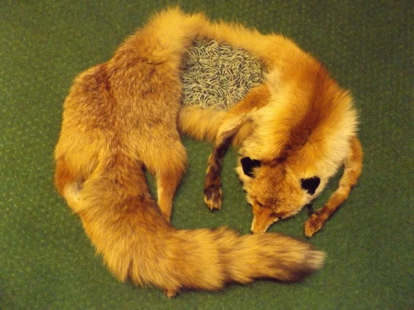 Fuchs Stola Unikat Handarbeit