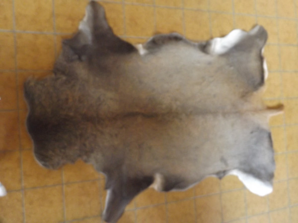 Rothirschfell, frisch gegerbt