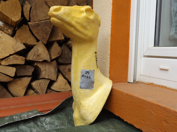 Rehbock Kopf-Schulter-Präparat, PU - Form