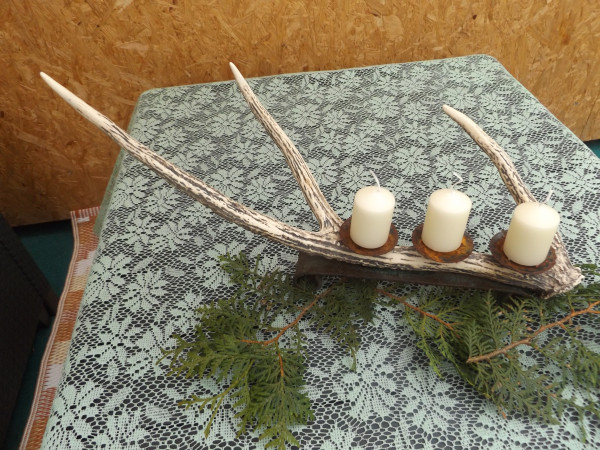 Geweih Kerzenhalter Hirschhorn 3 Spitzen