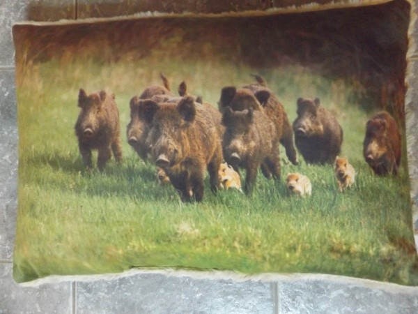 Kissen Wildschwein Rotte 40 x 60 cm