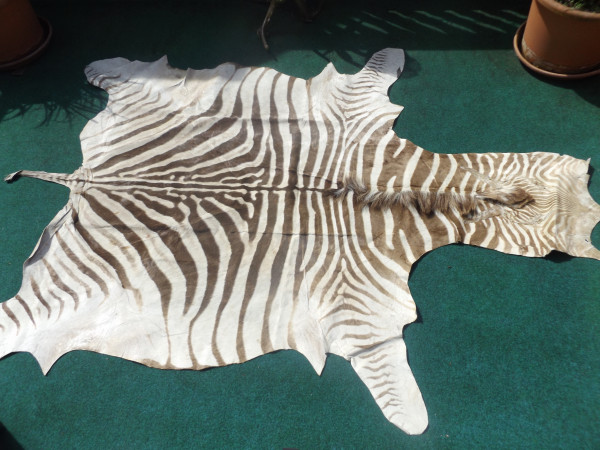 Steppenzebrafell