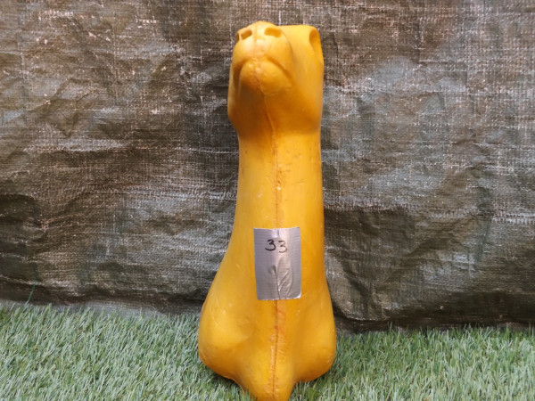 Gams PU Form