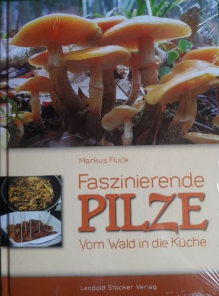 Faszinierende Pilze