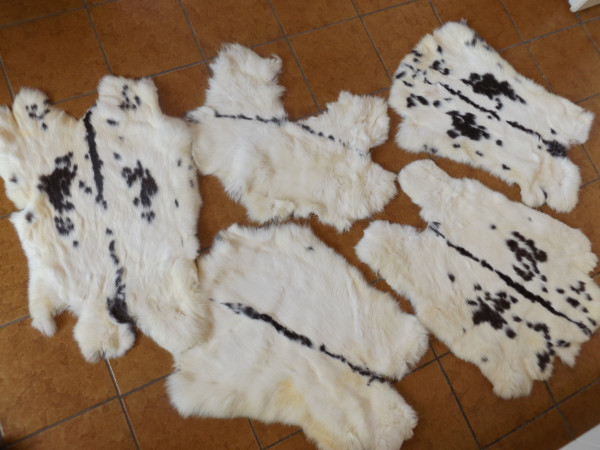 Kaninchenfelle / Hasenfelle 5-er-Set
