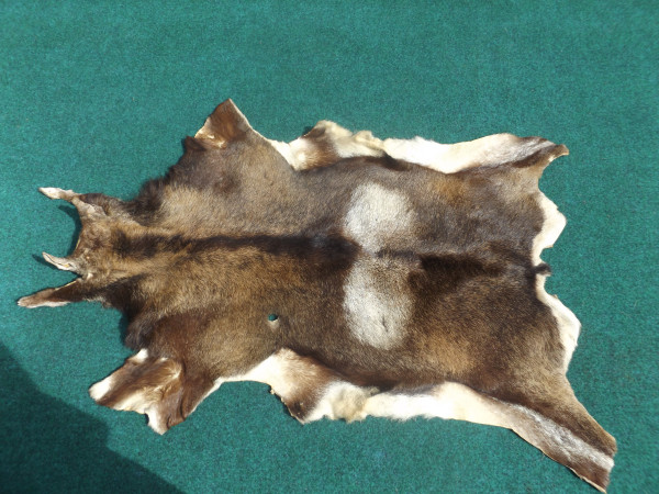 Mufflonfell