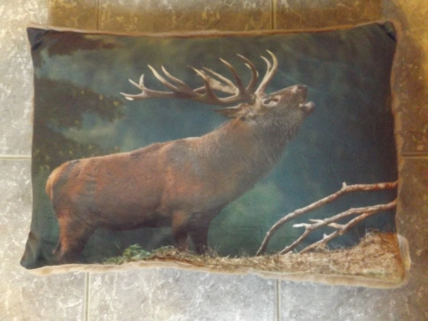 Kissen "röhrender" Hirsch 40 x 60 cm