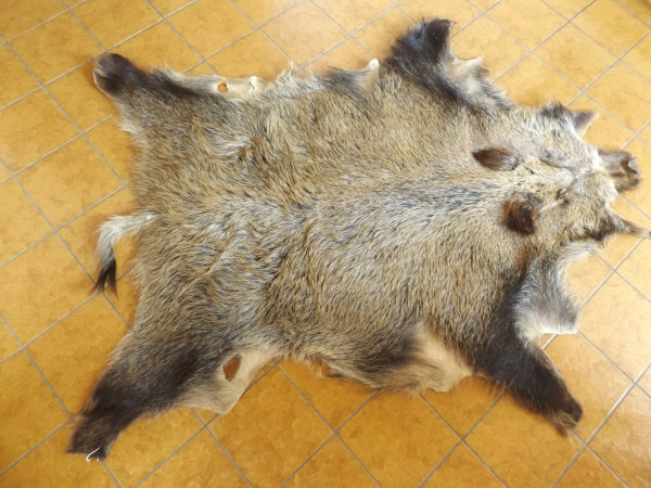 Wildschweinschwarte