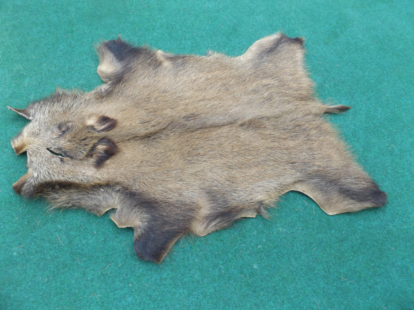 Wildschweinfell (Schwarte)