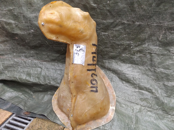 Mufflon negativ Form