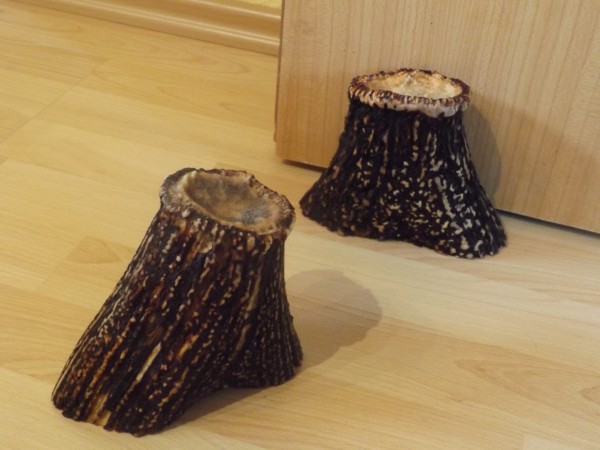 Kapitale, schwere Hirschrose als Türstopper