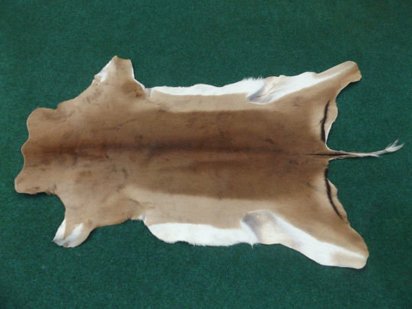 Impala zirka 120 x 70
